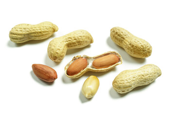 peanuts isolated on a white background