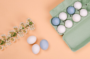 Colorful easter eggs and branch with cherry flowers