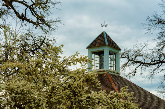 Pear Tree Bloosom Frame The Roof Top Of A Carriage House