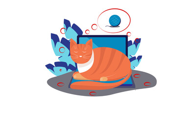 Cat sleeping on laptop and dreaming of  a clew