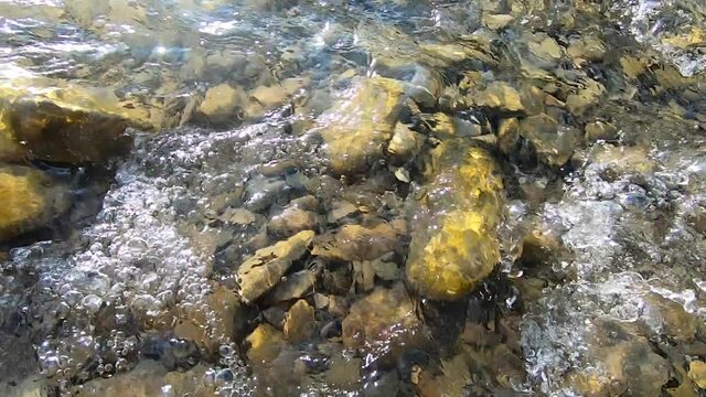 Natural background. Water flows over stones at the bottom of a shallow river