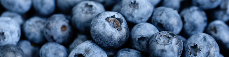 Freshly picked blueberries in coconut bowl on dark background. Healthy organic seasonal fruit background. Berries closeup macro