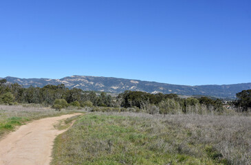 Winding Scenic Dirt Trek in Ellwood Park in California