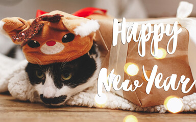 Happy New Year text handwritten on adorable cat in reindeer costume lying on stylish wrapped gift...