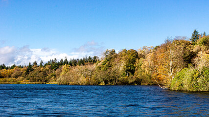 The shoreline of a lake during autumn