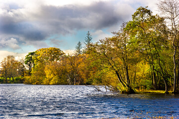 The shoreline of a lake during autumn