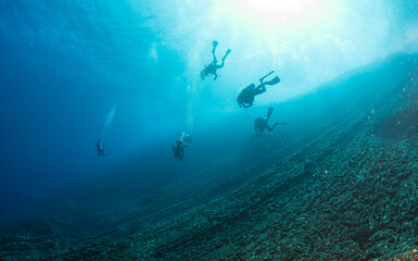 Fototapeta na wymiar Scuba divers underwater in ocean over deep reef in Niihau, Hawaii