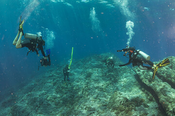 Scuba divers underwater in ocean over deep reef in Niihau, Hawaii