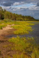 On the bank of the lake before a thunderstorm in the evening, Northern Finland