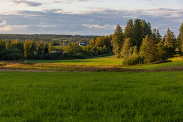 The green fields surrounded with the forest create pastoral countryside landscape in North Karelia in Finland.