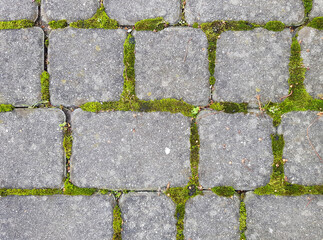 Grey road paving stones with green moss in gaps between. Bricks background.