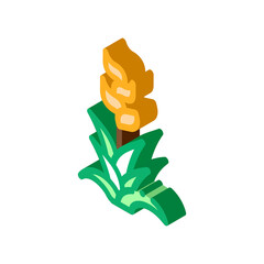 exotic flower icon vector. isometric exotic flower sign. color isolated symbol illustration