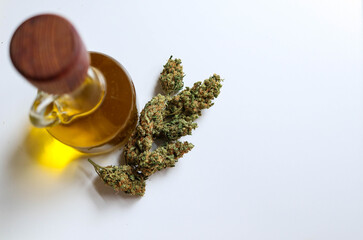 Jar with hemp oil, bud on white background, top view
Medical Cannabis concept