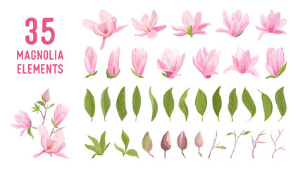 Magnolia flower, blossom, leaves, bouquet vector set. Template design pastel floral elements for wedding