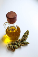 Jar with hemp oil, bud on white background, top view
Medical Cannabis concept