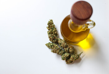 Jar with hemp oil, bud on white background, top view
Medical Cannabis concept