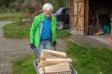 Senior man pushing a wheelbarrow full of the heavy pieces of firewood.