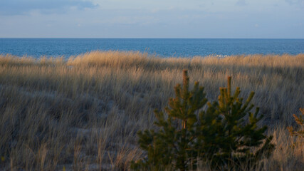 Peaceful, nostalgic sea, seaside landscape, facilitating relaxation and tranquility.