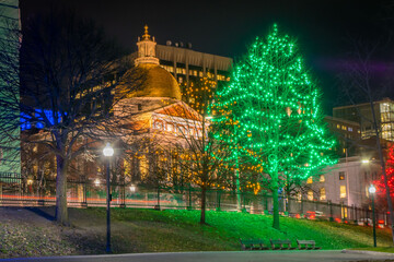 Green holiday lights on a tree in Boston Common