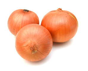 Ripe onion on a white background 