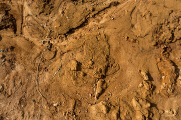 texture of earth