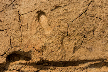 footprints