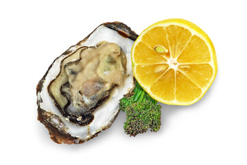 Fresh oyster and sliced lemon isolated on white.