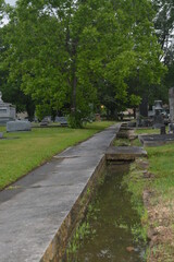 Fototapeta na wymiar walk in the park, path in cemetery