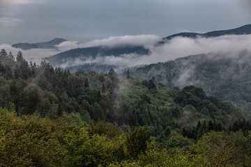 Mglisty krajobraz górski po deszczu. Zalesione szczyty pośród chmur, Bieszczady, Polska