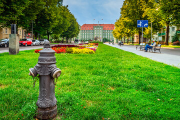Traditional hydrant with gryphon head from Stettin city emblem, blurred flowerbed and town hall in background. Gryphon in Szczecin emblem since 1360 - obrazy, fototapety, plakaty