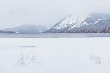 Obraz premium Bushes in Snow Along Frozen Mountain Lake in Winter