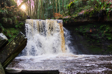 waterfall in the forest