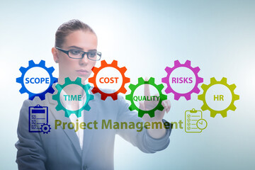 Concept of project management with business people