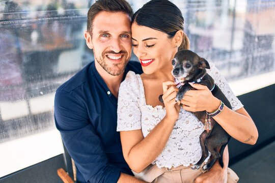 Young beautiful couple smiling happy and confident holding chihuahua dog. Sitting with smile on face hugging at restaurant.