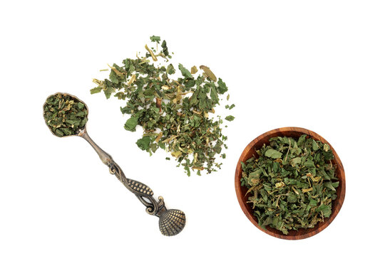 Pellitory of the wall herb used in herbal medicine to treat fluid retention, urinary tract disorders, constipation, coughs & also used for burns and wounds on skin. Parietaria officinalis. On white.