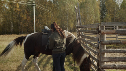 On an autumn day, a girl in front of the stable pulls the girths of her horse before walking...