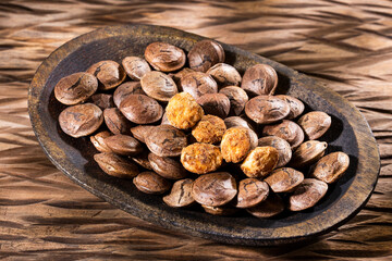 Plukenetia volubilis - Dried seeds of sacha fruit - Inchi peanuts