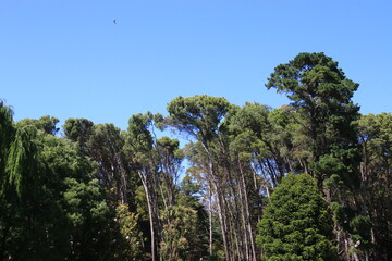 landscapes of Sierra De La Ventana a few kilometers from the city of Bahia Blanca Argentina on a hot day