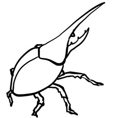 Line art illustration of Hercules beetle