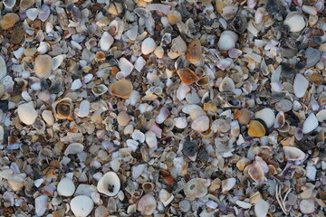 pebbles on the beach