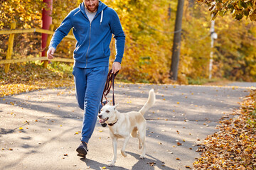 cropped man running with pet dog in the autumn forest on fresh air, guy enjoy jogging with white purebred dog in the nature.