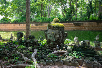 チェンマイの洞窟寺（トンネル寺）ワット・ウモーンの仏頭