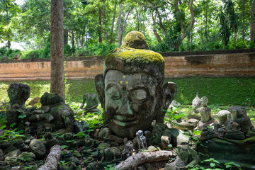 Fototapeta na wymiar チェンマイの洞窟寺（トンネル寺）ワット・ウモーンの仏頭