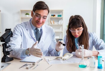 Paleontologists looking at bones of extinct animals