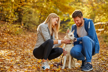 Fototapeta premium couple enjoy time with dog in the autumn forest, happy man and woman are friends with nice dog, during fall outdoors