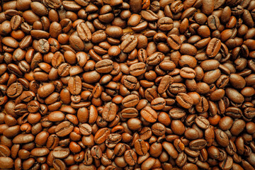 coffee beans background