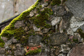 The stone wall is overgrown with moss