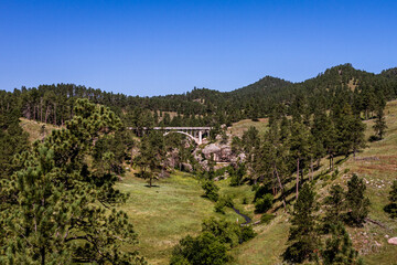 Fototapeta na wymiar Stone bridge over small creek situated in nature with conifers in windcaves national park in america