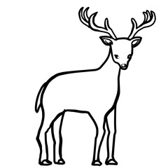 Naklejka na ściany i meble Simple deer line art illustration