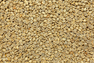 Unroasted artesanal gourmet coffee beans pattern
